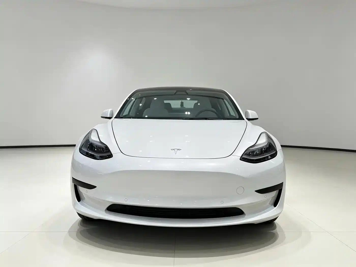 Model 3 2020 Long Range Rear-Wheel Drive — миниатюра 2