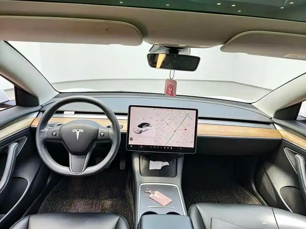 Model 3 2020 Long Range Rear-Wheel Drive — миниатюра 4