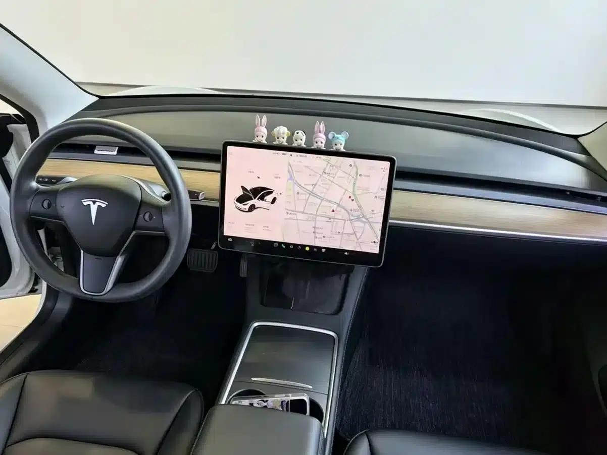 Model 3 2020 Long Range Rear-Wheel Drive — миниатюра 7