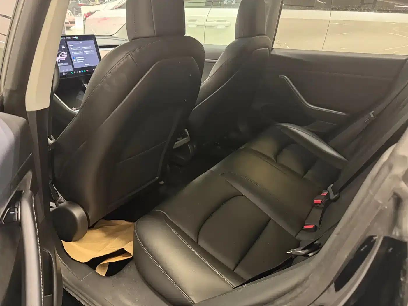 Model 3 2019 Standard Range Rear-Wheel Drive Upgrade — миниатюра 6