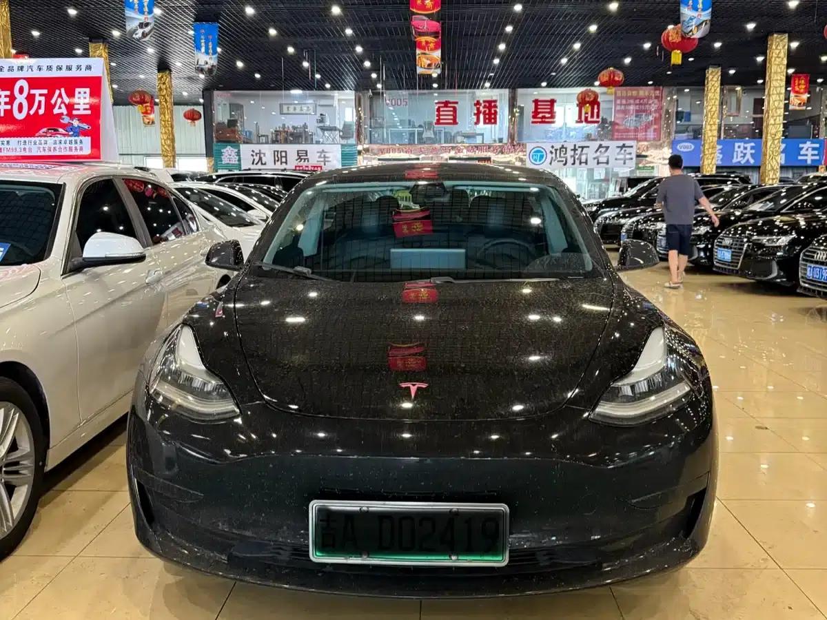 Model 3 2020 Standard Range Rear-Wheel Drive Upgrade — миниатюра 2