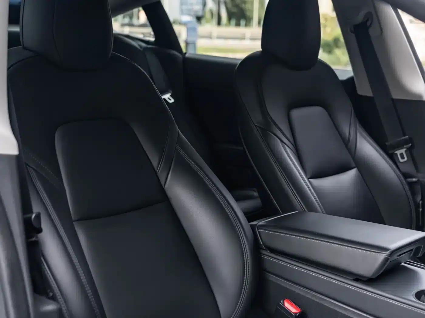 Model 3 2021 Facelift Standard Range Rear-Wheel Drive Upgrade Version 3D1 — миниатюра 12