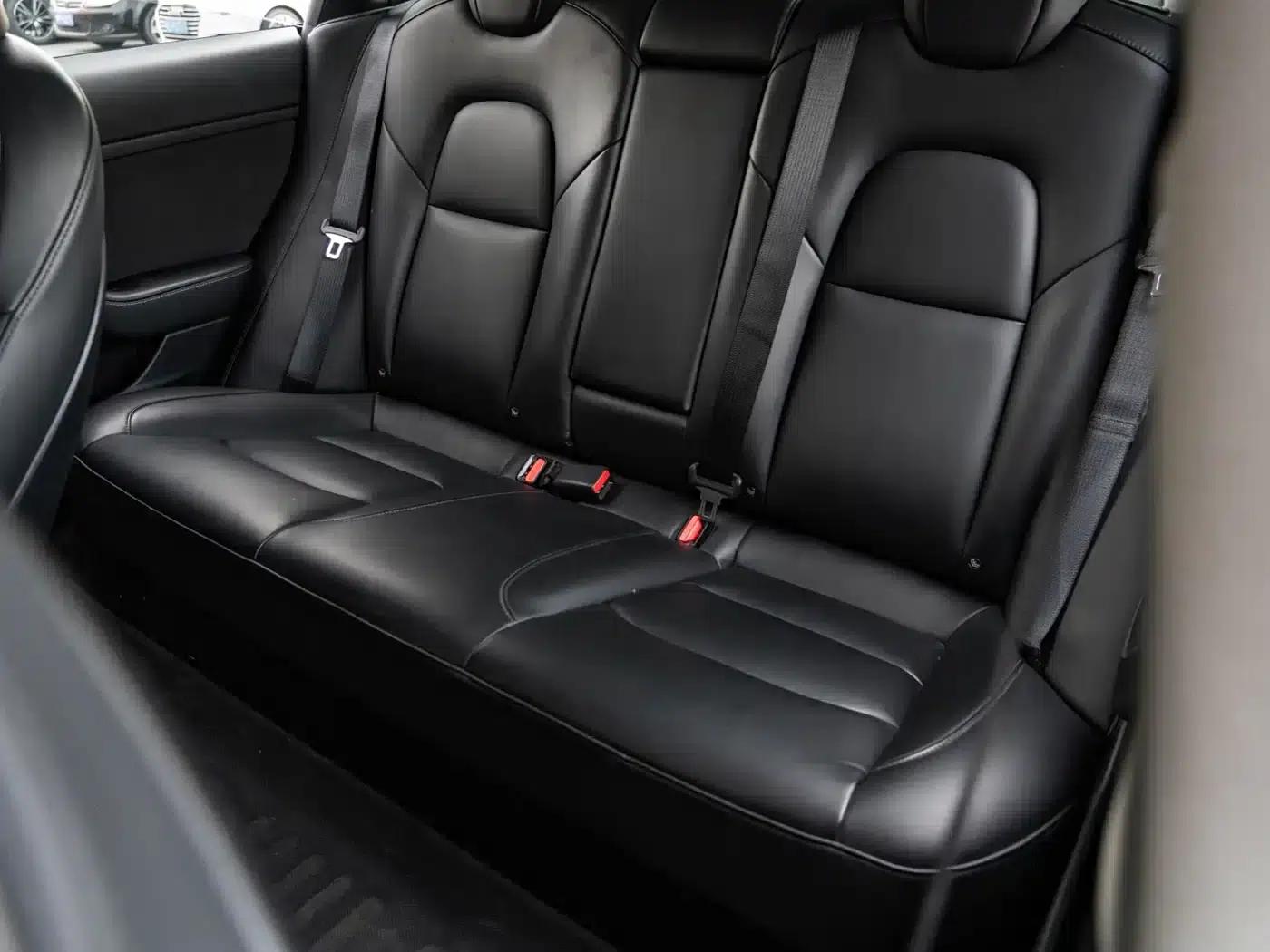 Model 3 2021 Facelift Standard Range Rear-Wheel Drive Upgrade Version 3D1 — миниатюра 24