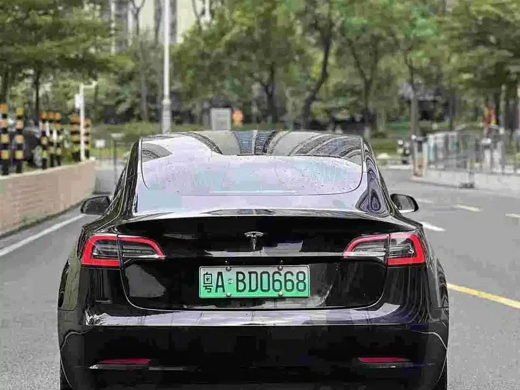 Model 3 2020 Standard Range Rear-Wheel Drive Upgrade — миниатюра 4