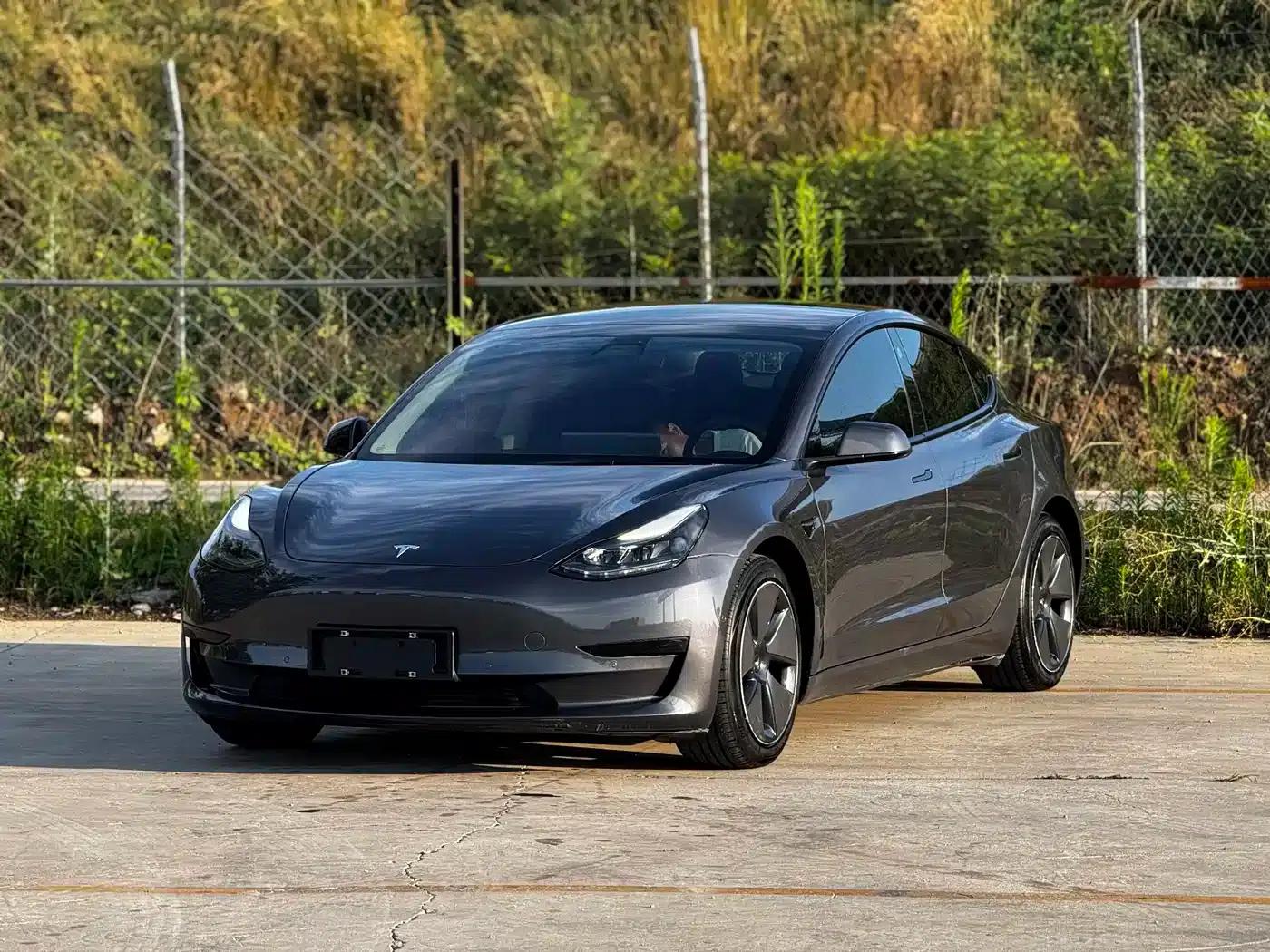 Model 3 2021 Standard Range Rear-Wheel Drive Upgrade 3D6 — миниатюра 1