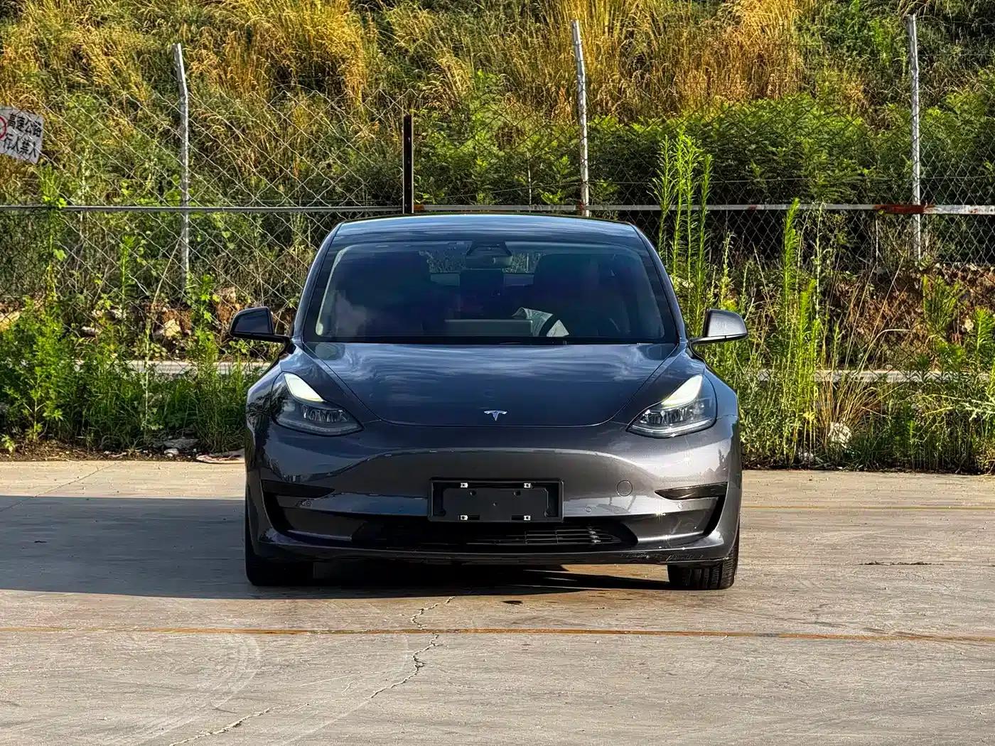 Model 3 2021 Standard Range Rear-Wheel Drive Upgrade 3D6 — миниатюра 2