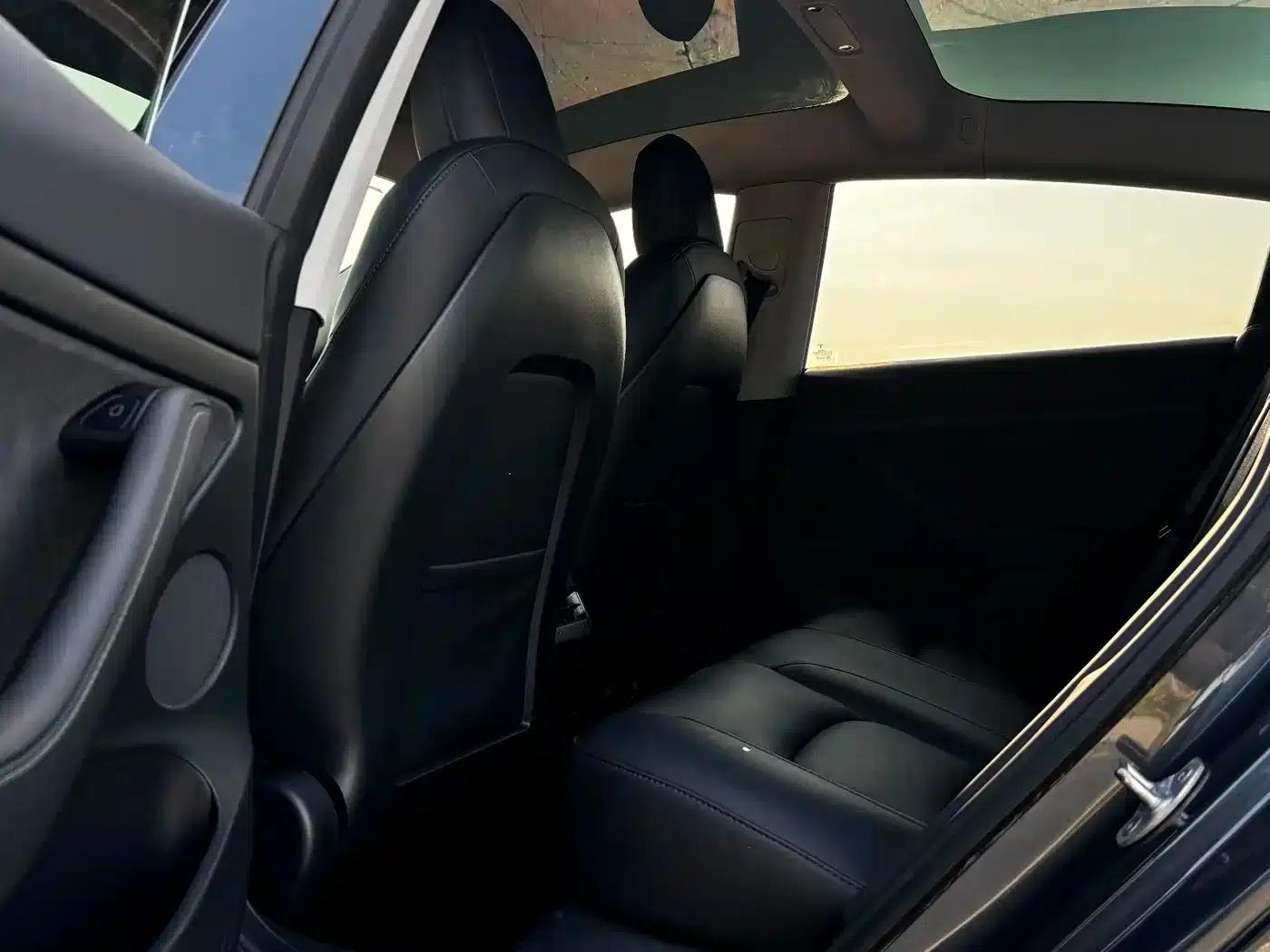 Model 3 2021 Standard Range Rear-Wheel Drive Upgrade 3D6 — миниатюра 13