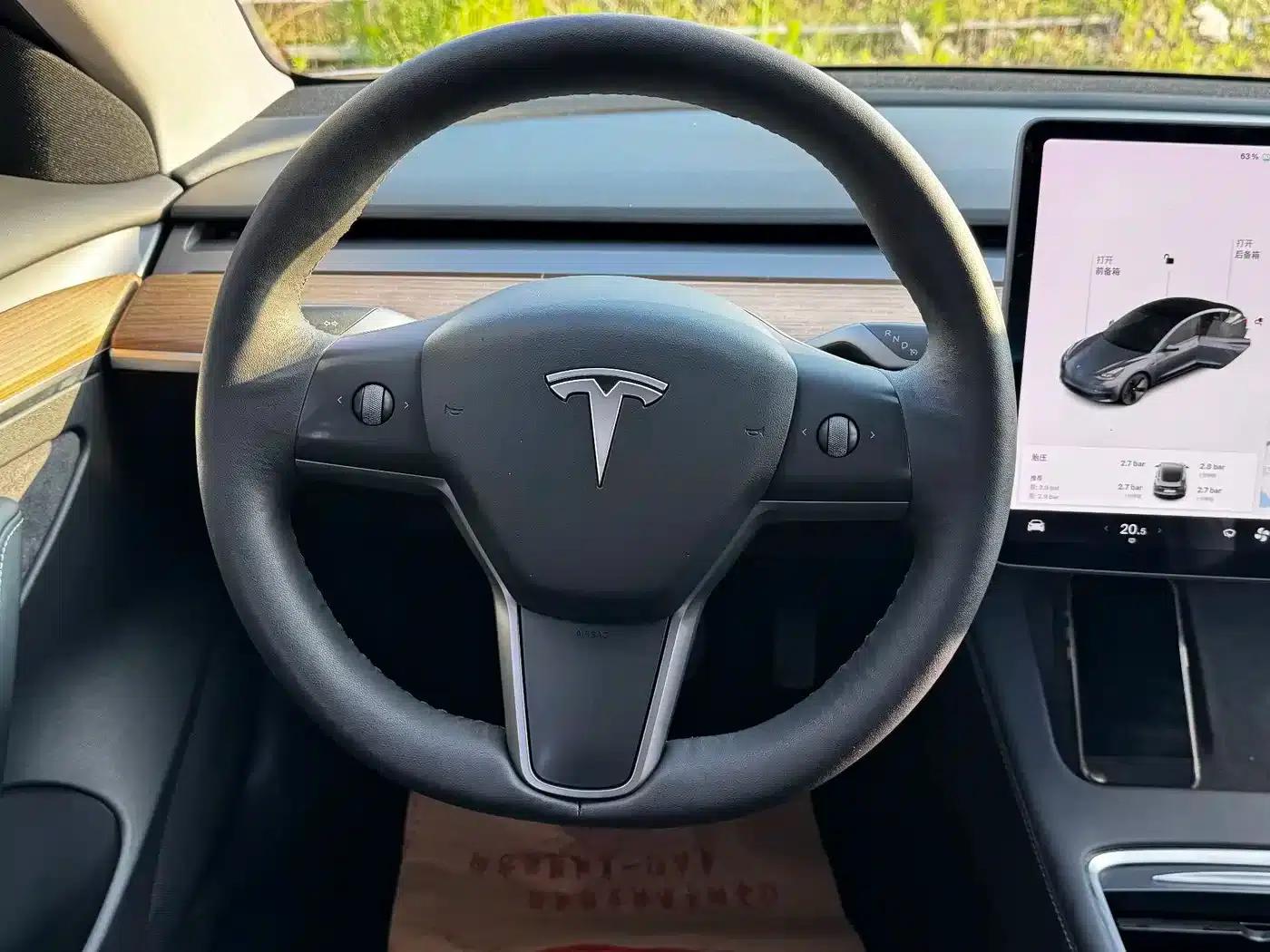 Model 3 2021 Standard Range Rear-Wheel Drive Upgrade 3D6 — миниатюра 14