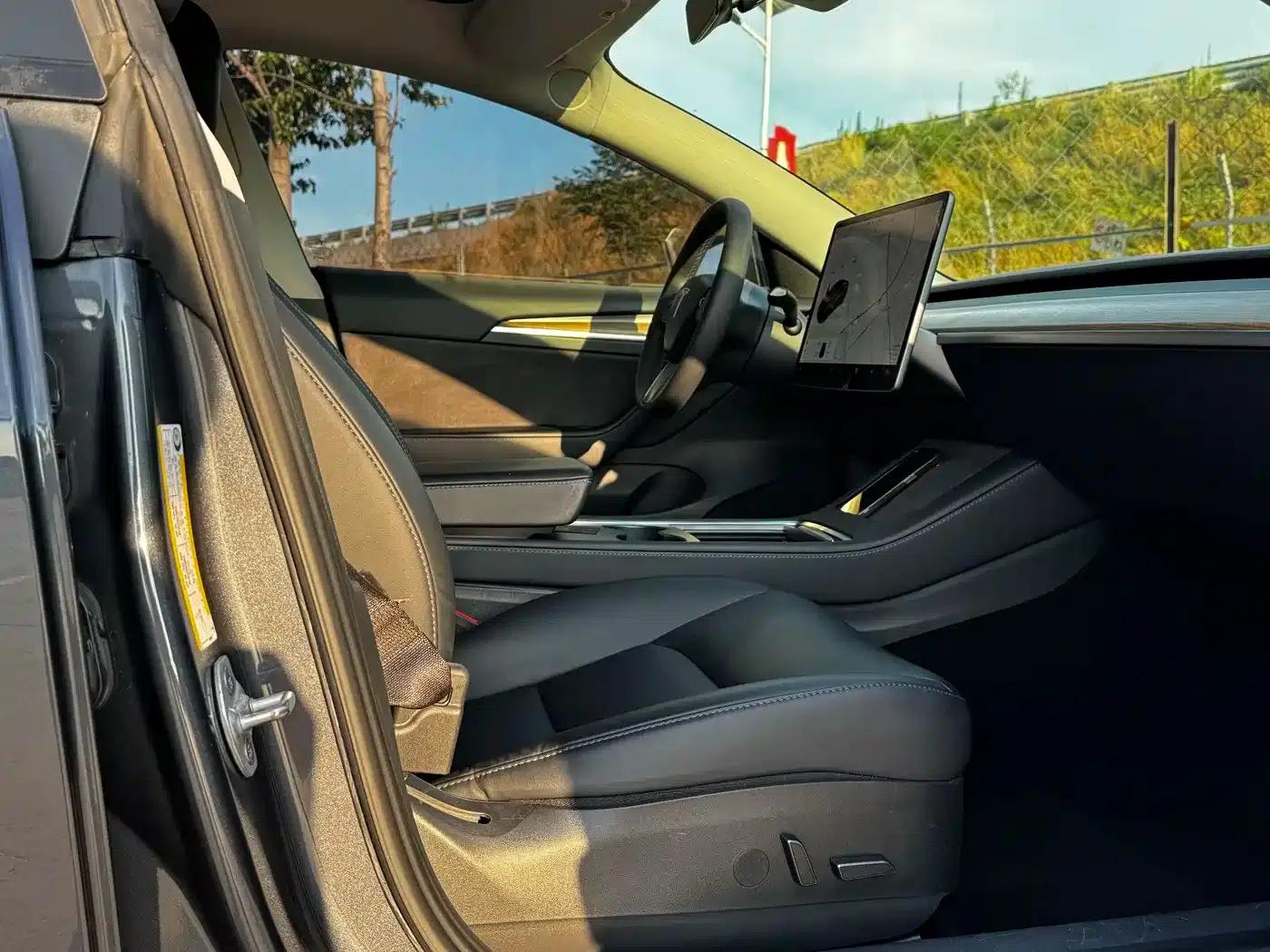 Model 3 2021 Standard Range Rear-Wheel Drive Upgrade 3D6 — миниатюра 19