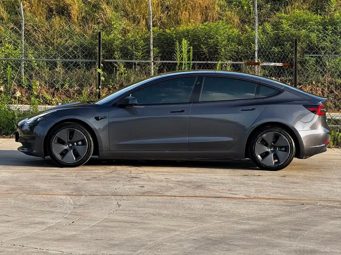 Model 3 2021 Standard Range Rear-Wheel Drive Upgrade 3D6 — миниатюра 3