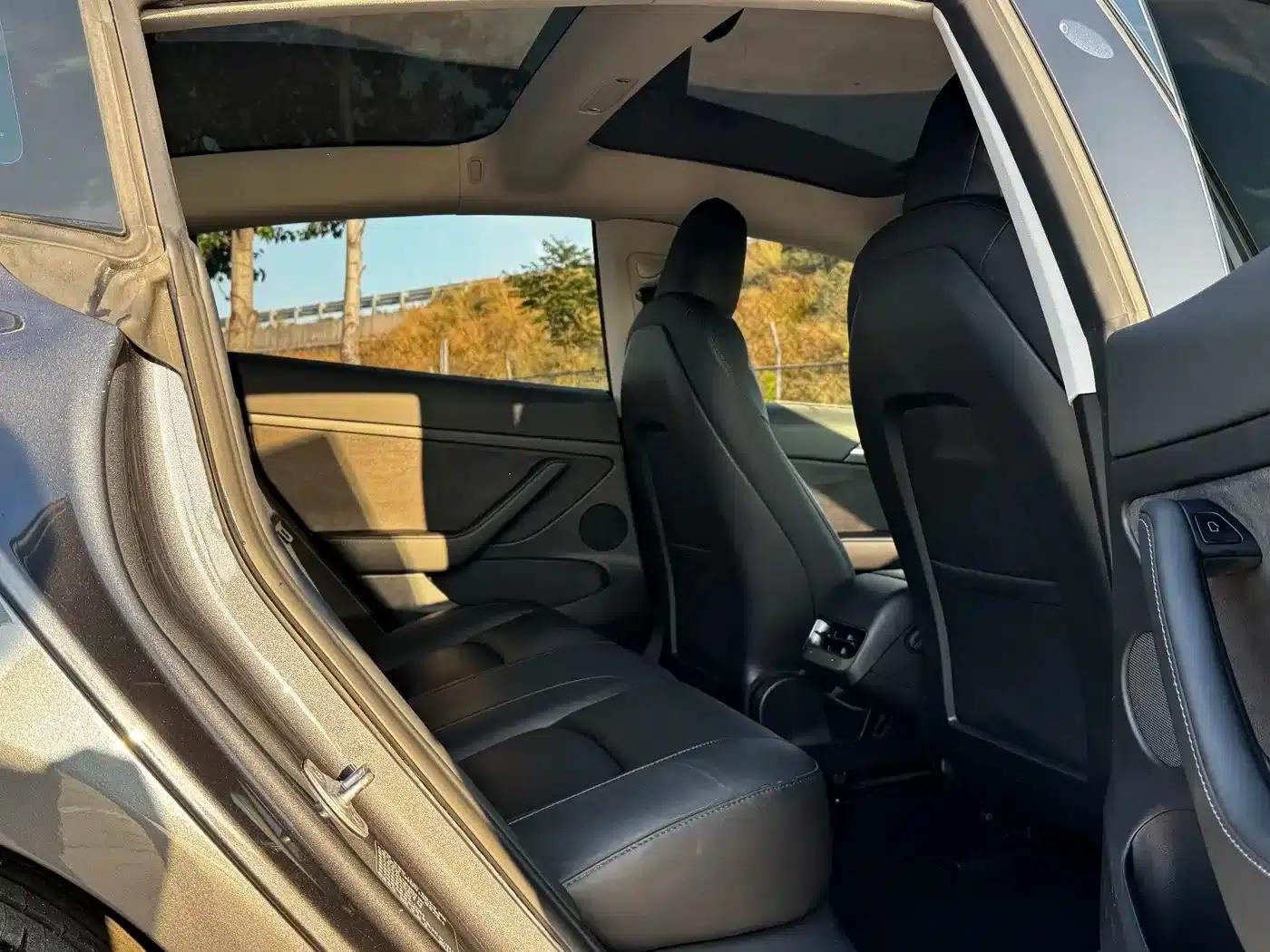 Model 3 2021 Standard Range Rear-Wheel Drive Upgrade 3D6 — миниатюра 21