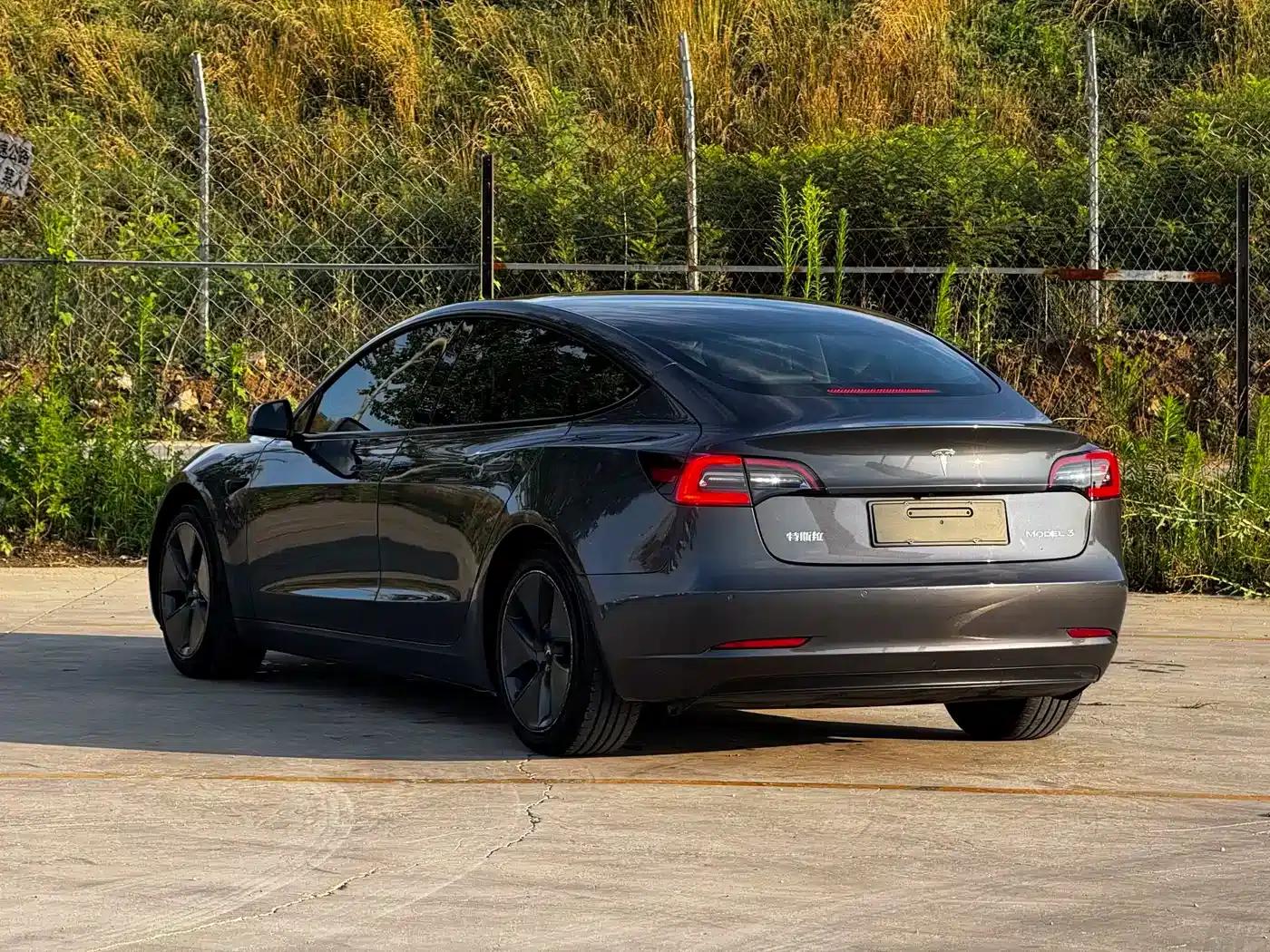 Model 3 2021 Standard Range Rear-Wheel Drive Upgrade 3D6 — миниатюра 4