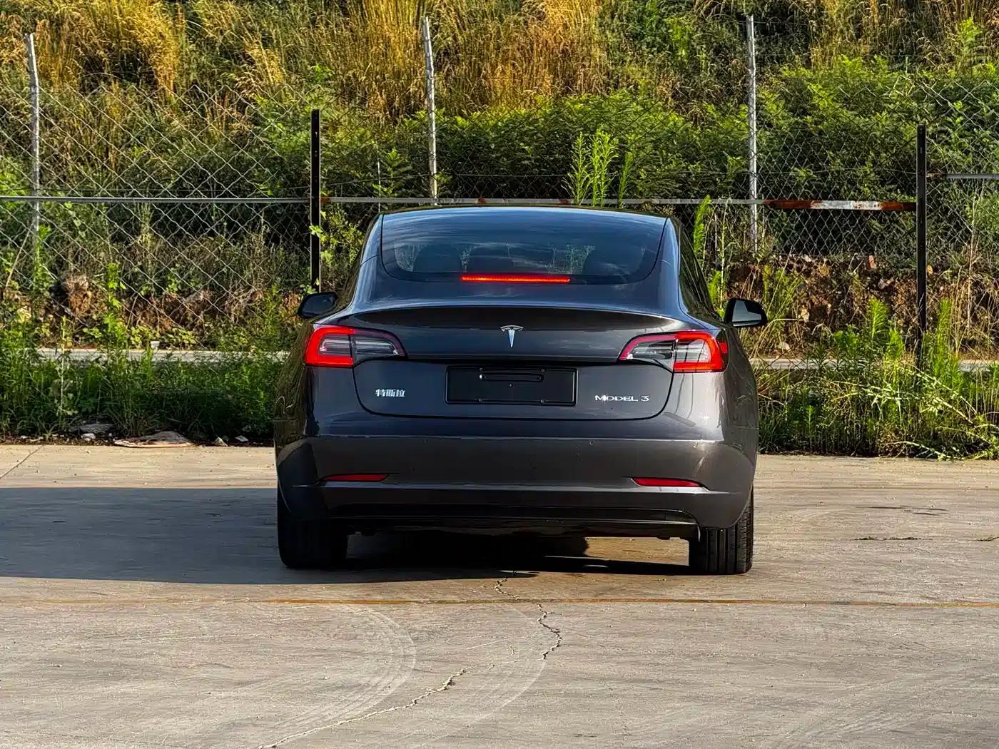 Model 3 2021 Standard Range Rear-Wheel Drive Upgrade 3D6 — миниатюра 8