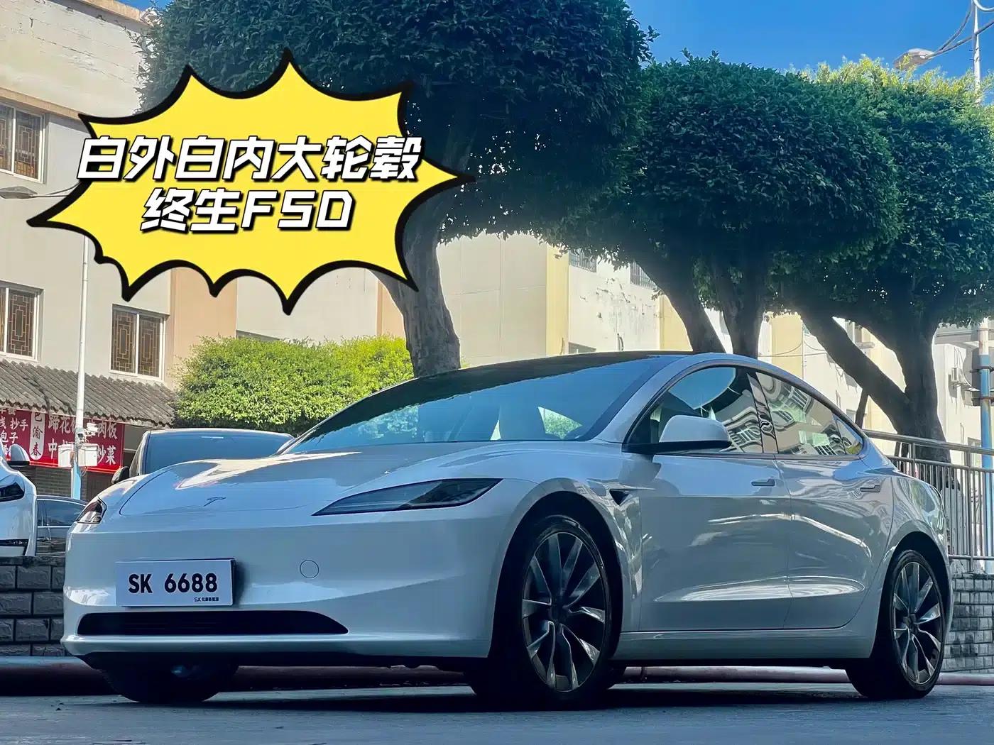 Model 3 2023 Rear-Wheel Drive — миниатюра 1