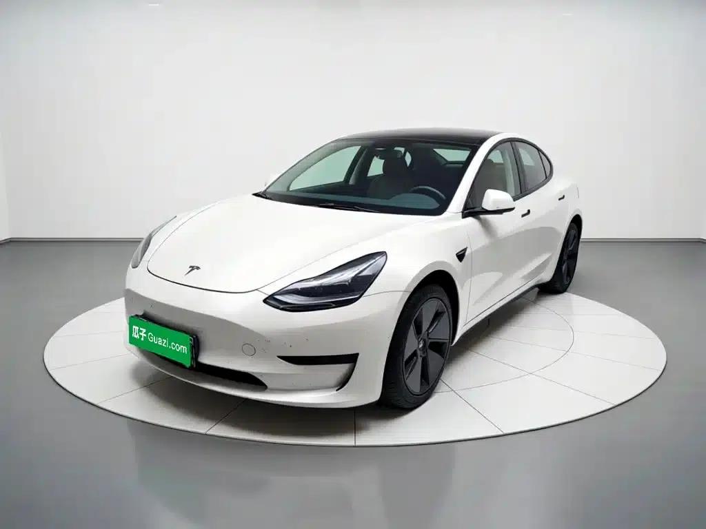 Model 3 2021 Standard Range Rear-Wheel Drive Upgrade 3D6 — миниатюра 1