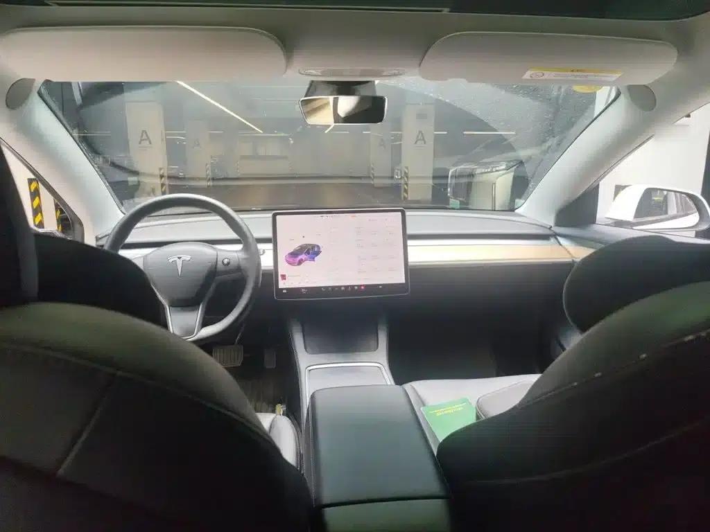 Model 3 2021 Standard Range Rear-Wheel Drive Upgrade 3D6 — миниатюра 13