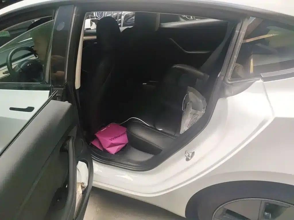 Model 3 2021 Standard Range Rear-Wheel Drive Upgrade 3D6 — миниатюра 15