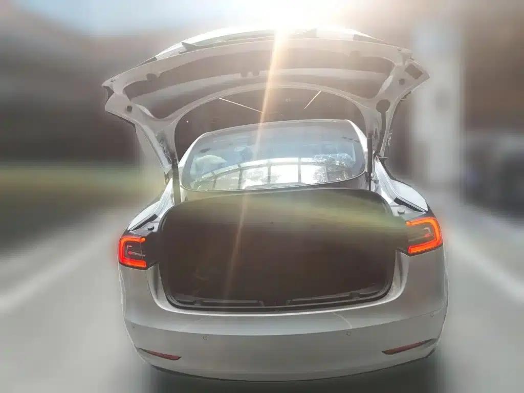 Model 3 2021 Standard Range Rear-Wheel Drive Upgrade 3D6 — миниатюра 10