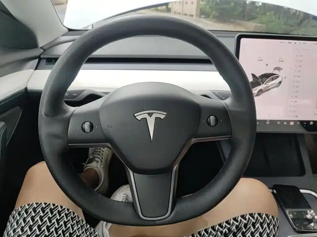 Model 3 2021 Performance All-Wheel Drive — миниатюра 11