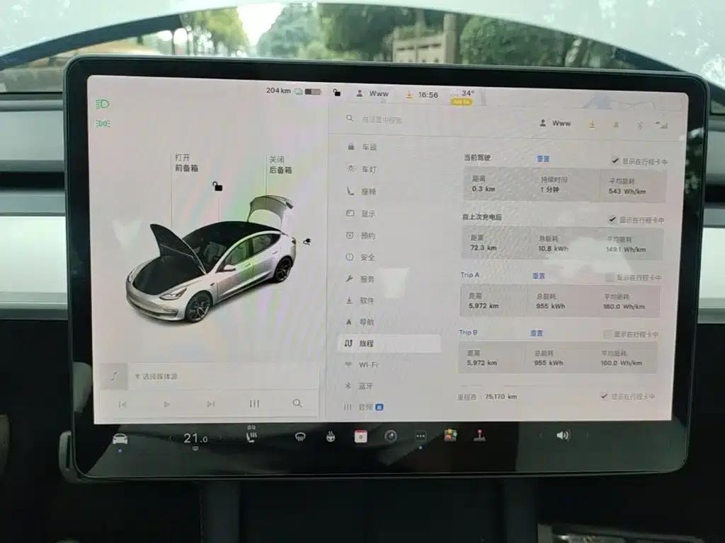 Model 3 2021 Performance All-Wheel Drive — миниатюра 12
