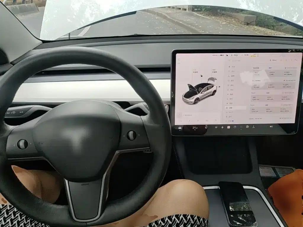Model 3 2021 Performance All-Wheel Drive — миниатюра 10
