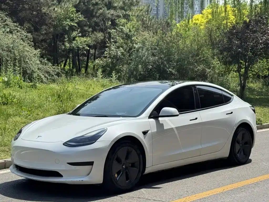 Model 3 2021 Standard Range Rear-Wheel Drive Upgrade 3D6 — миниатюра 1