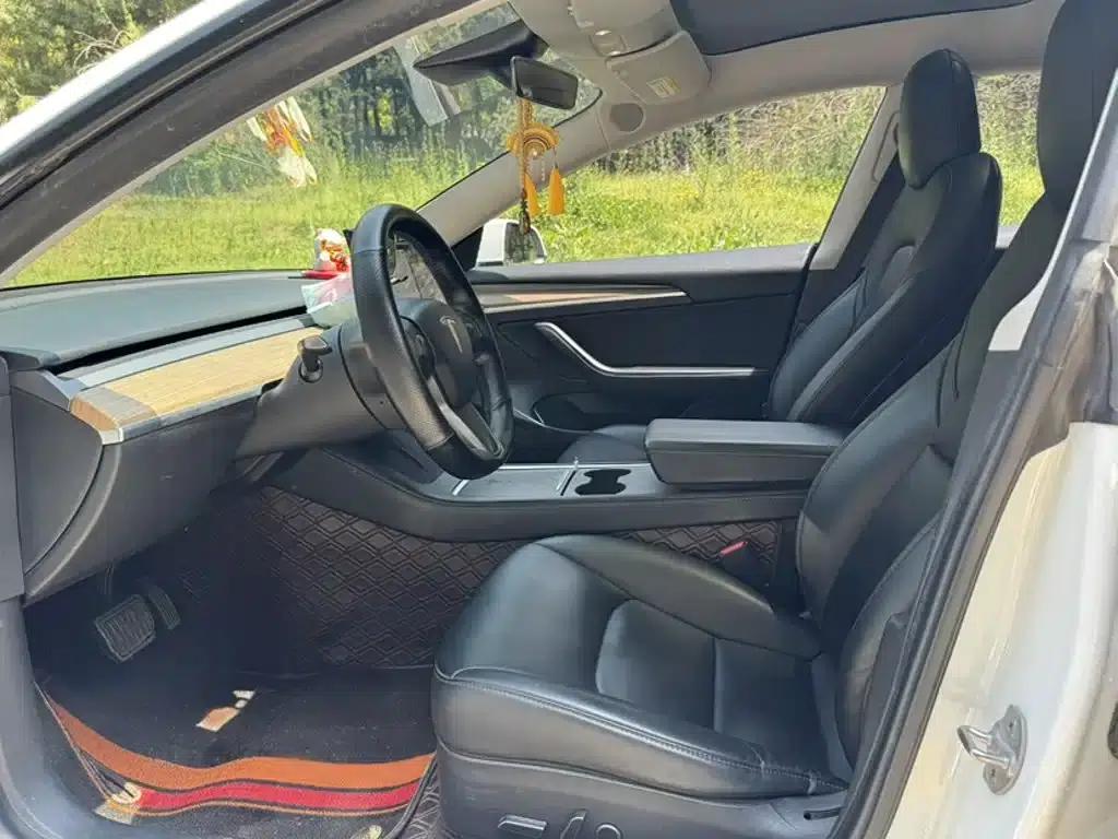 Model 3 2021 Standard Range Rear-Wheel Drive Upgrade 3D6 — миниатюра 11