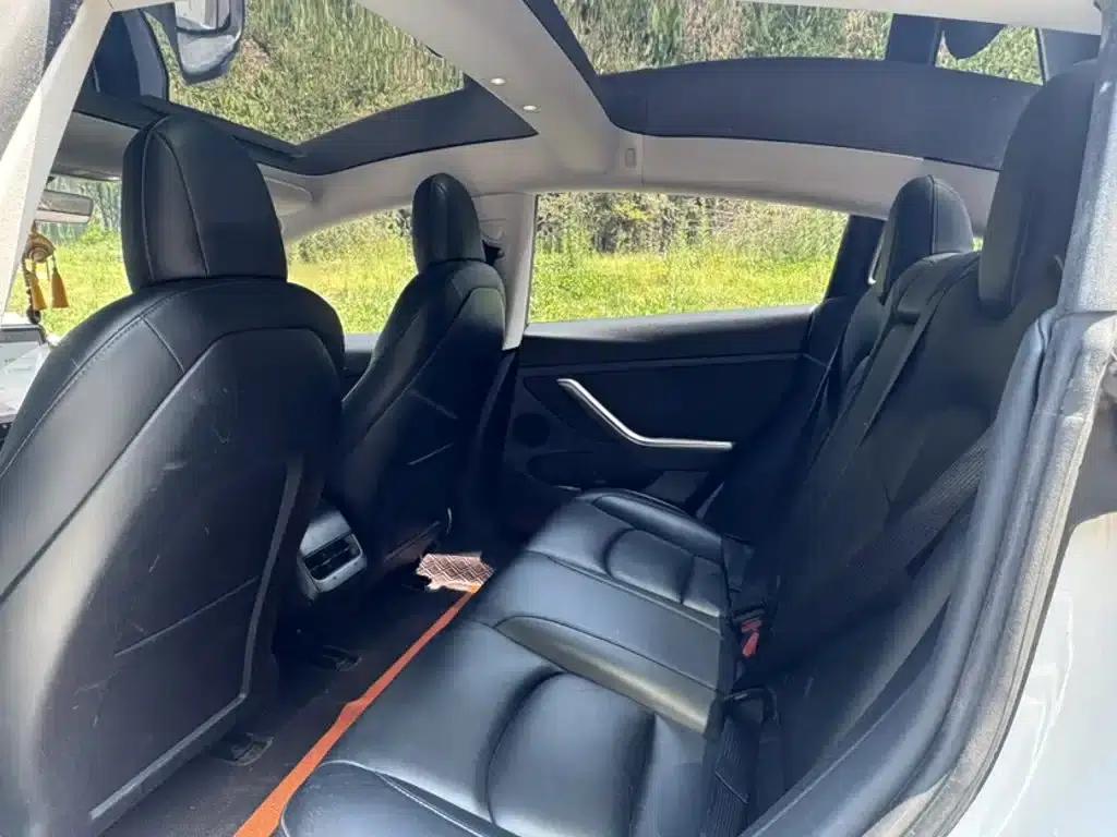 Model 3 2021 Standard Range Rear-Wheel Drive Upgrade 3D6 — миниатюра 12
