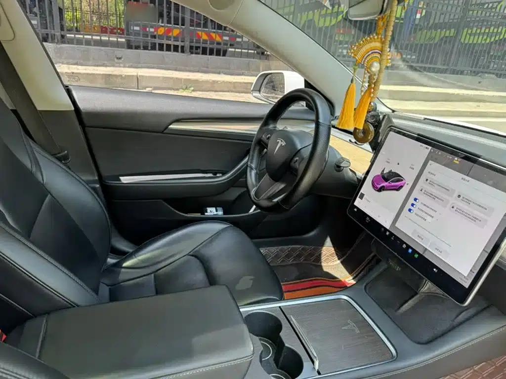 Model 3 2021 Standard Range Rear-Wheel Drive Upgrade 3D6 — миниатюра 15