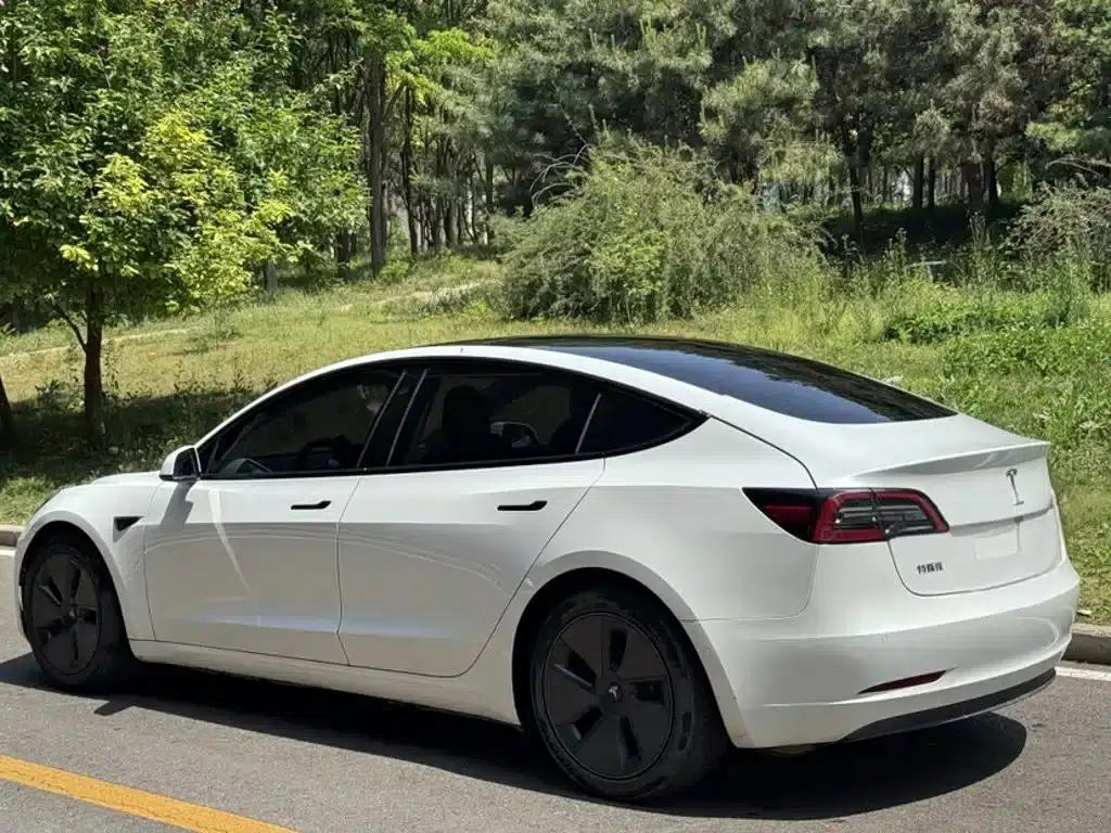 Model 3 2021 Standard Range Rear-Wheel Drive Upgrade 3D6 — миниатюра 5