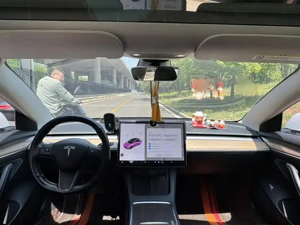 Model 3 2021 Standard Range Rear-Wheel Drive Upgrade 3D6 — миниатюра 9