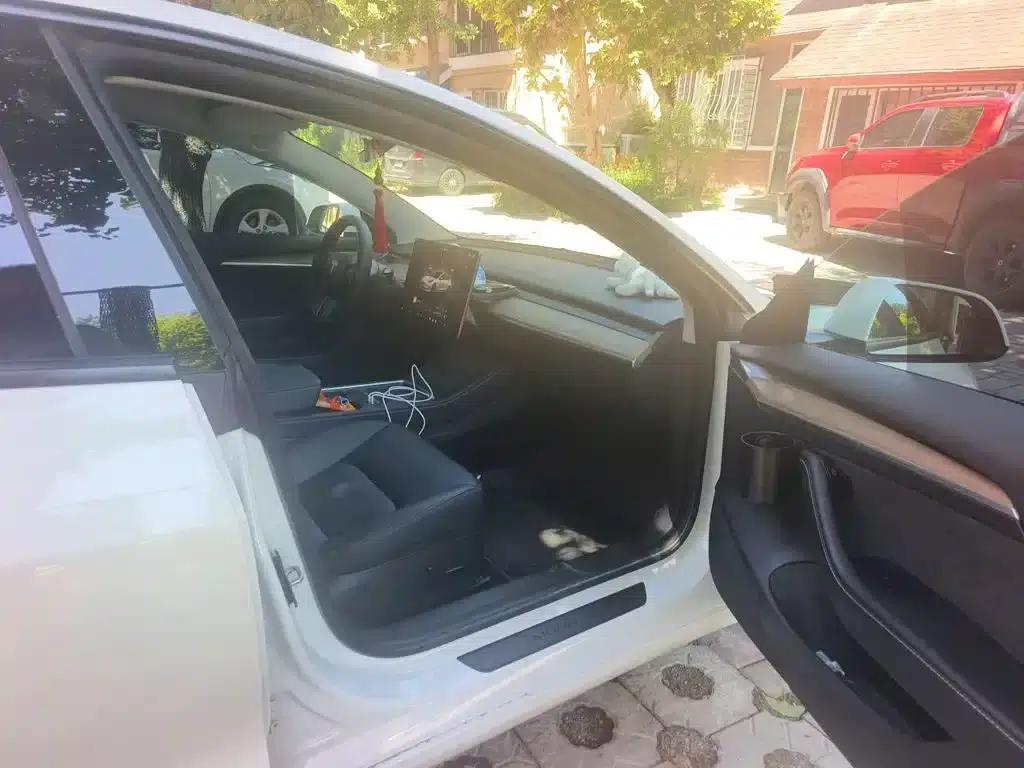 Model 3 2022 Rear-Wheel Drive — миниатюра 20