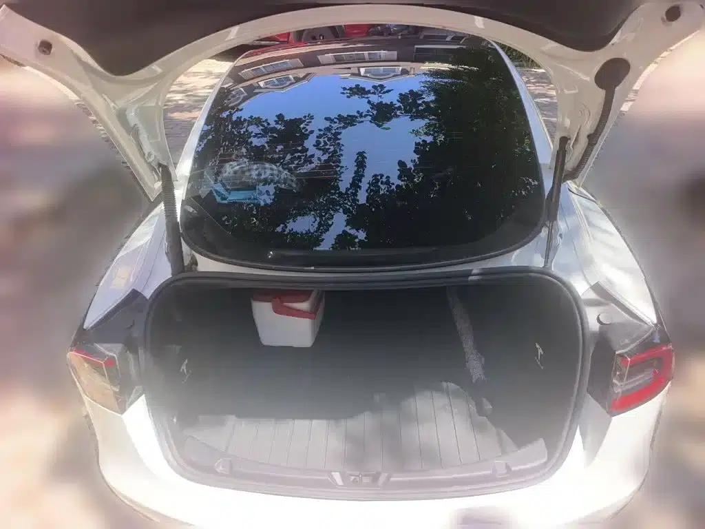 Model 3 2022 Rear-Wheel Drive — миниатюра 10