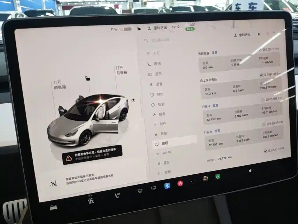 Model 3 2022 Performance All-Wheel Drive — миниатюра 12