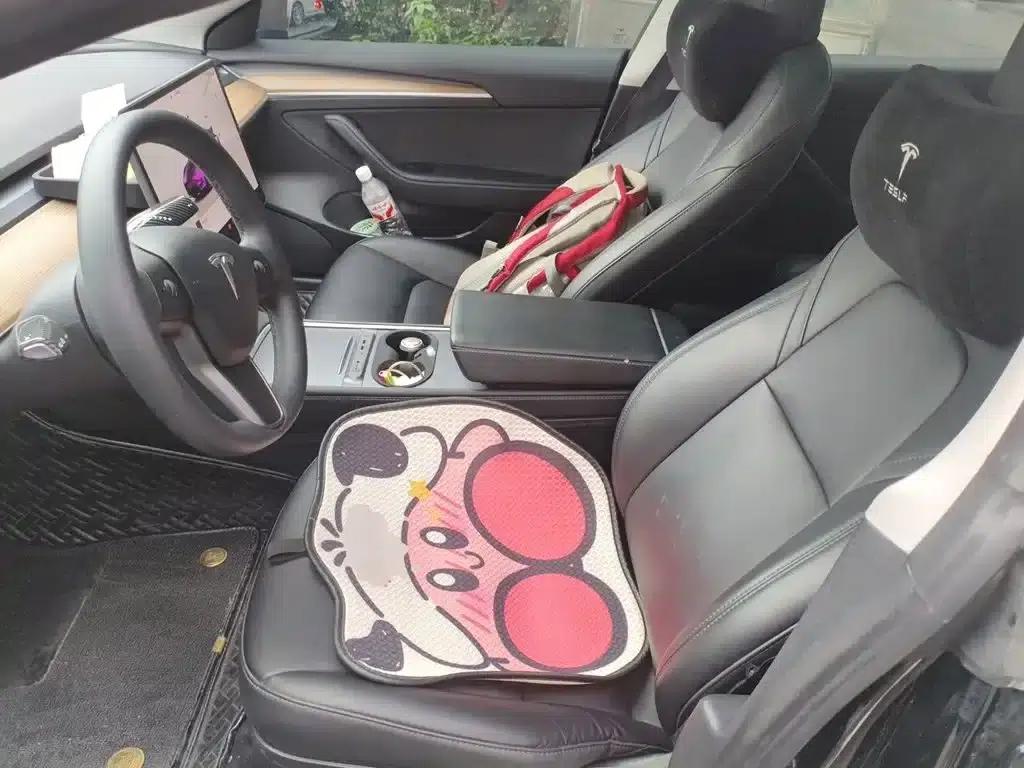 Model 3 2022 Rear-Wheel Drive — миниатюра 8