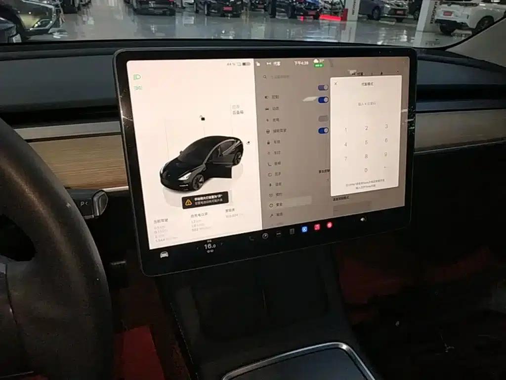 Model 3 2022 Rear-Wheel Drive — миниатюра 13