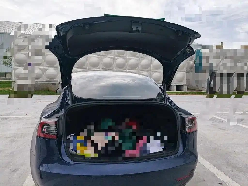 Model 3 2021 Standard Range Rear-Wheel Drive Upgrade — миниатюра 10