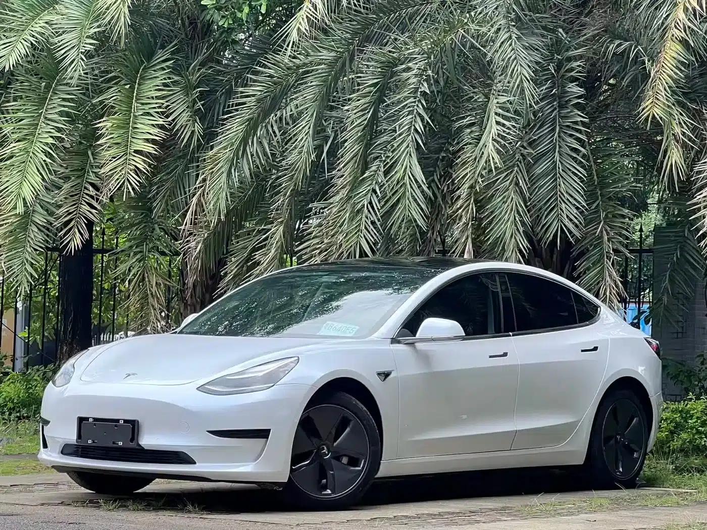 Imported 2019 Model 3 Standard Range Rear-Wheel Drive Upgrade — миниатюра 1