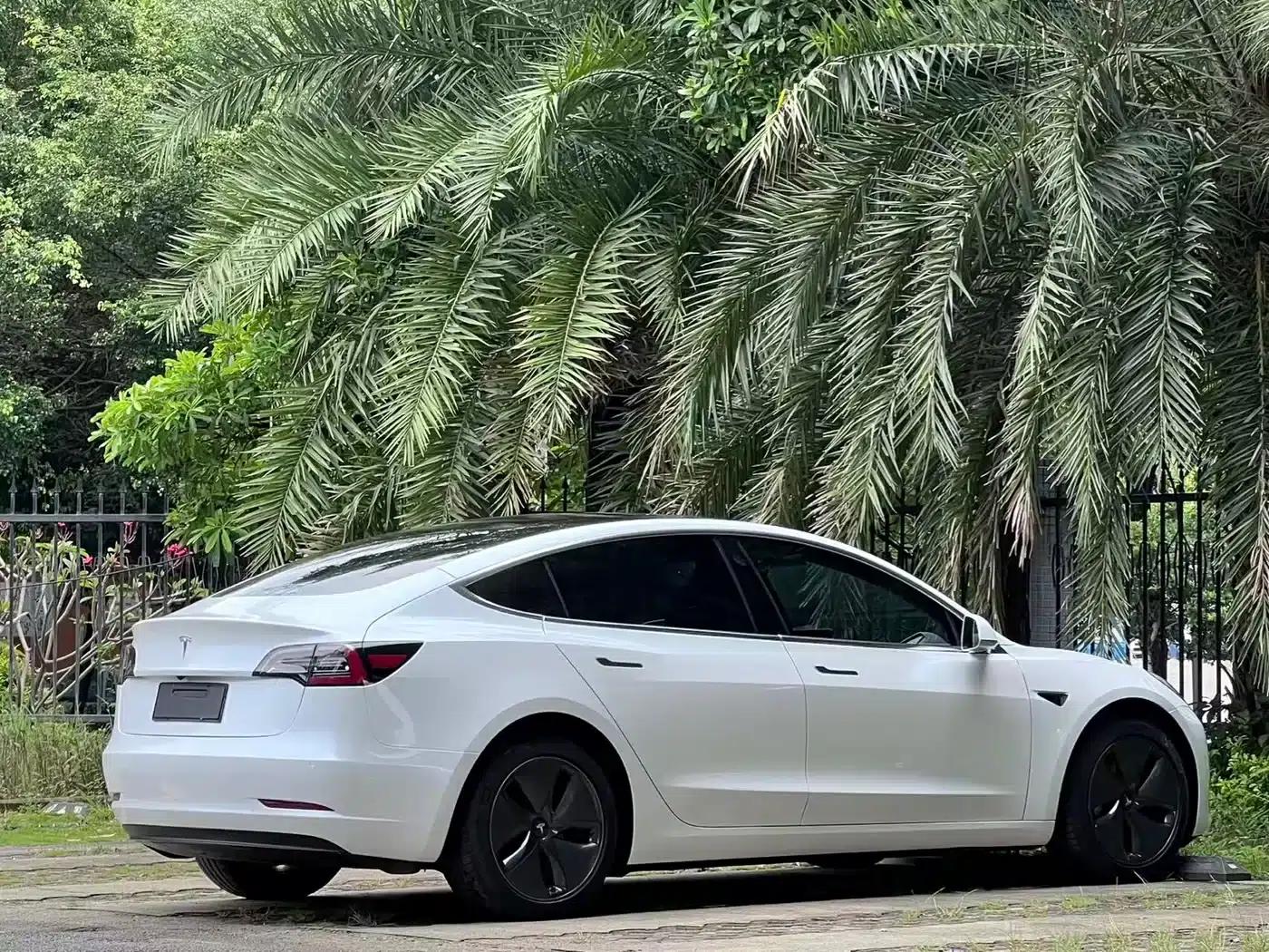 Imported 2019 Model 3 Standard Range Rear-Wheel Drive Upgrade — миниатюра 7
