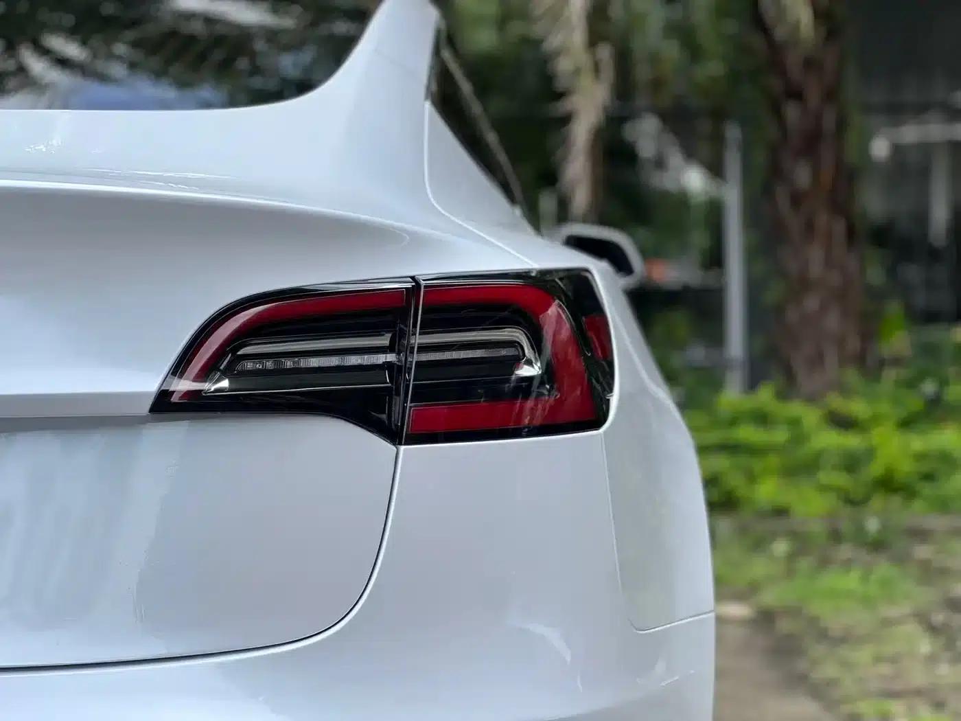 Imported 2019 Model 3 Standard Range Rear-Wheel Drive Upgrade — миниатюра 8