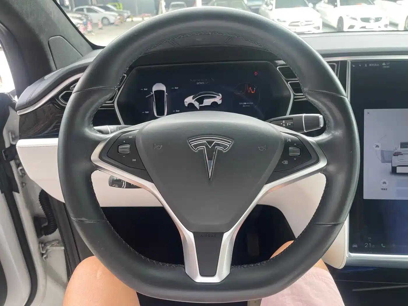 2017 Model X 100D Long Range — миниатюра 10