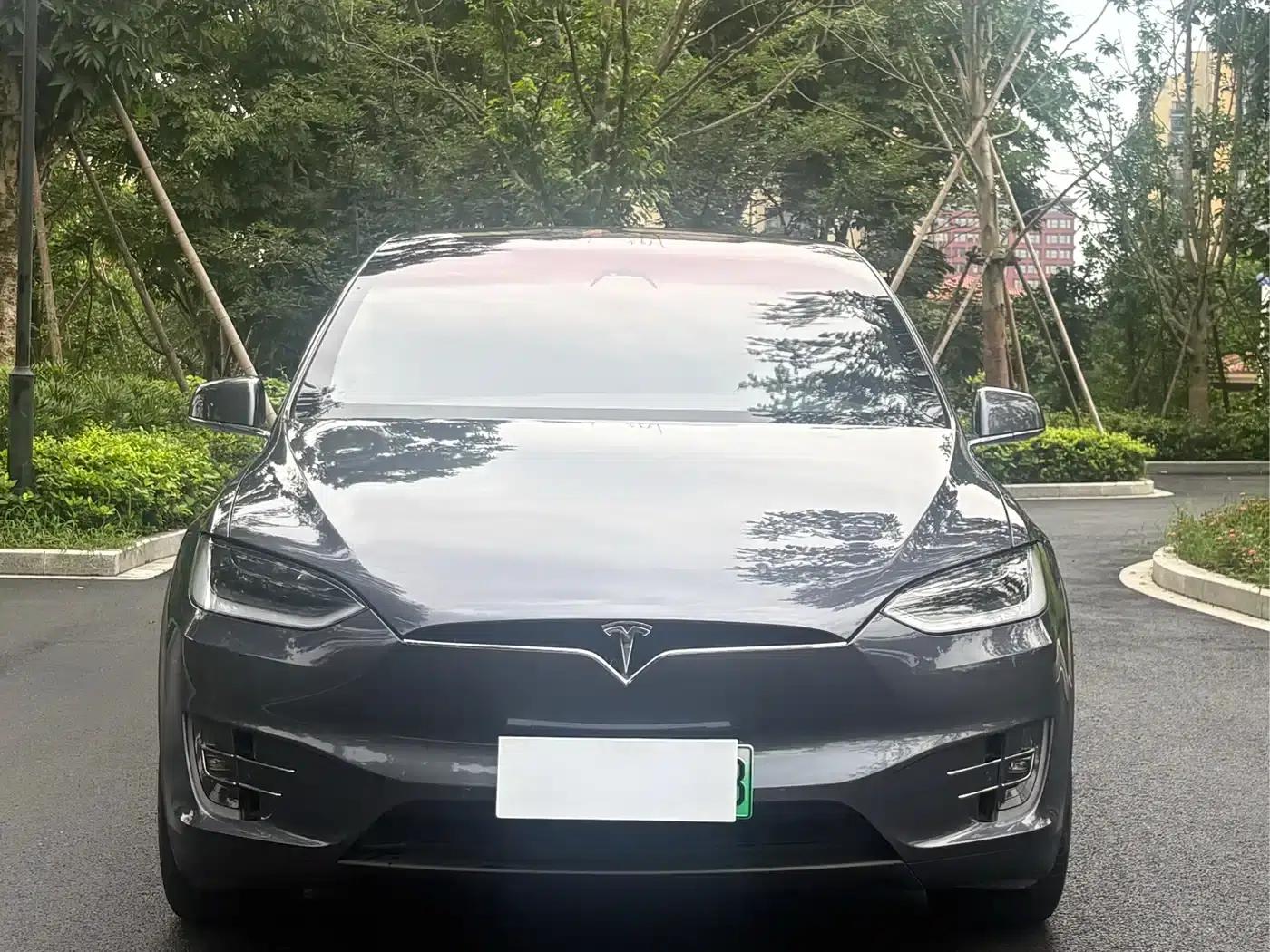 2016 Model X P100D Performance Edition — миниатюра 2