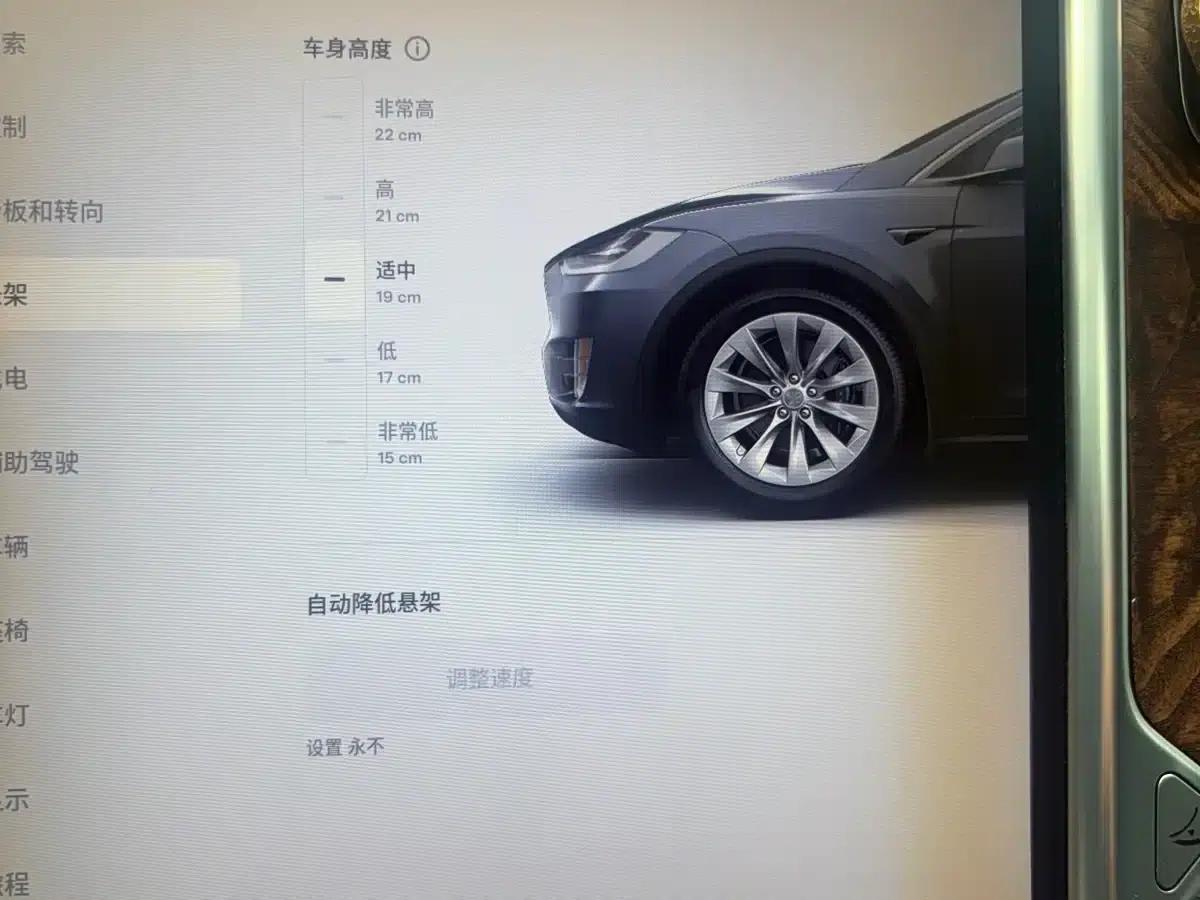 2016 Model X P100D Performance Edition — миниатюра 12