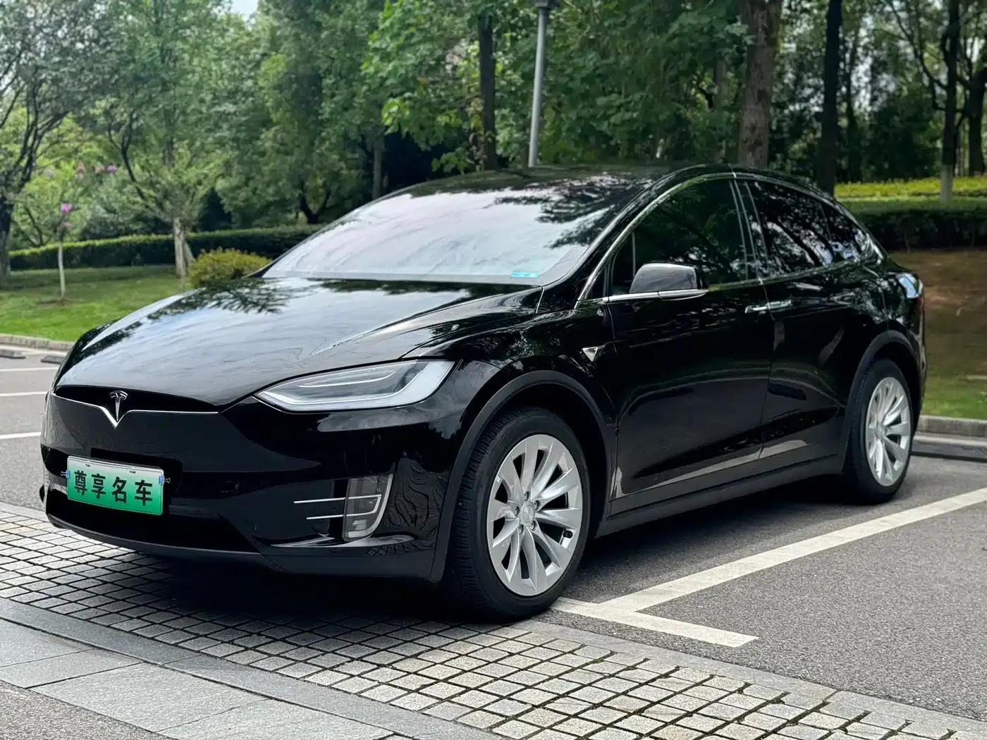 2017 Model X 100D Long Range — миниатюра 1