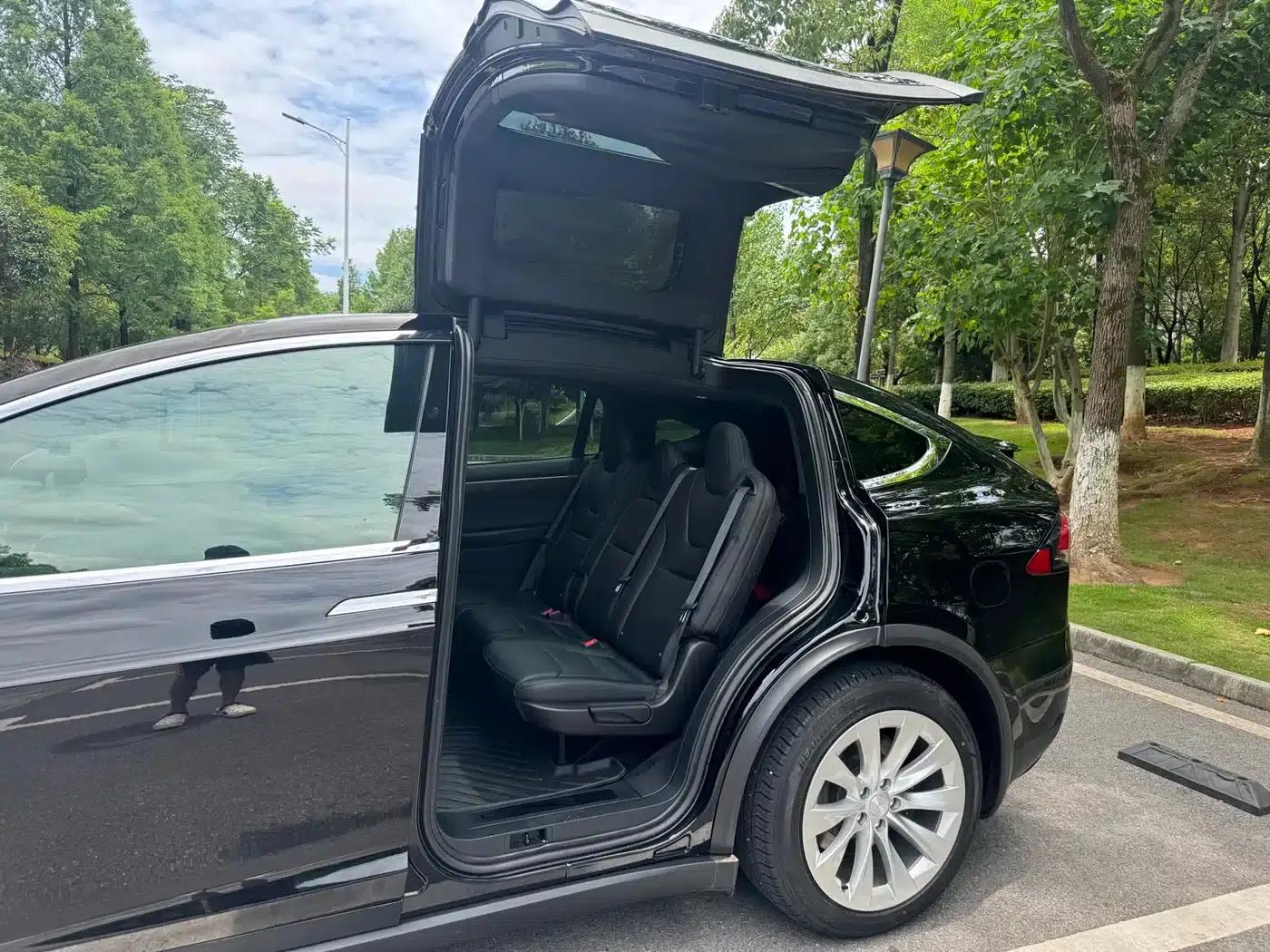 2017 Model X 100D Long Range — миниатюра 12
