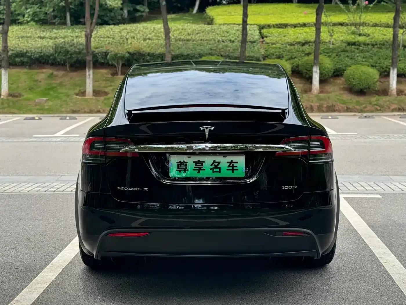 2017 Model X 100D Long Range — миниатюра 5