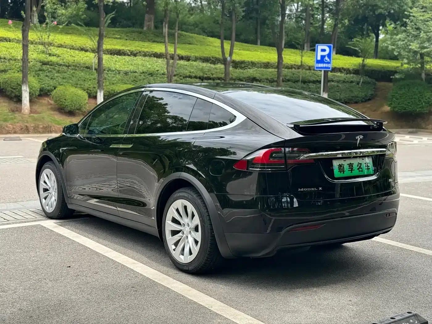 2017 Model X 100D Long Range — миниатюра 6