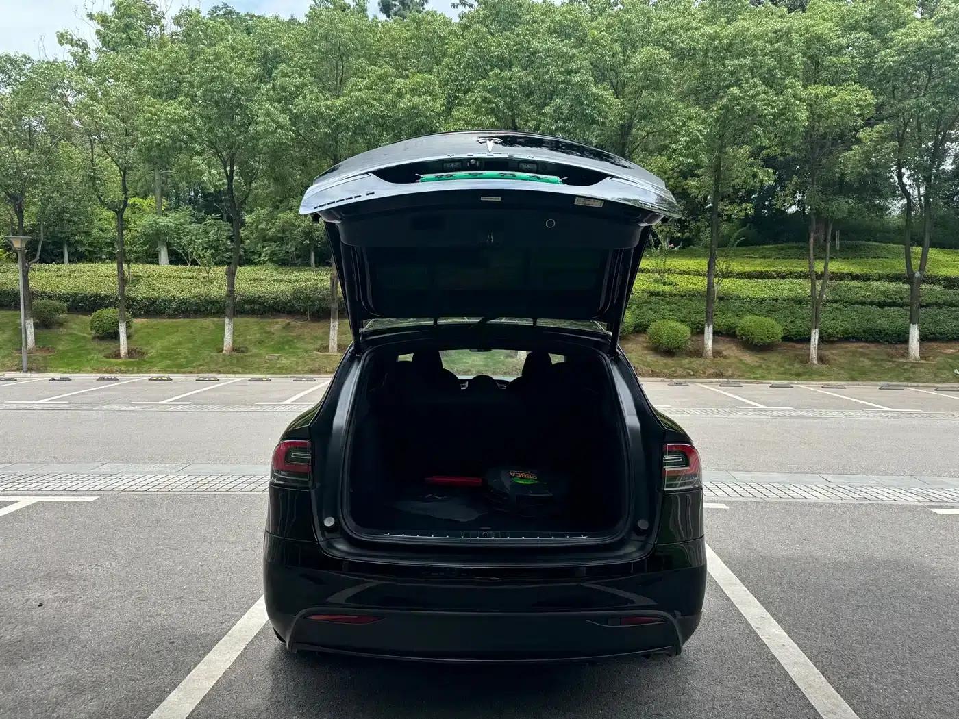 2017 Model X 100D Long Range — миниатюра 7