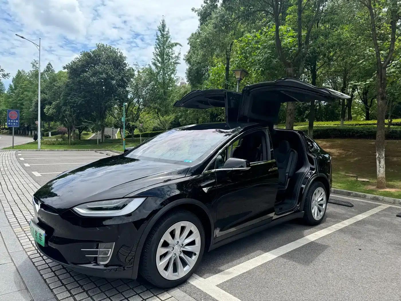 2017 Model X 100D Long Range — миниатюра 8