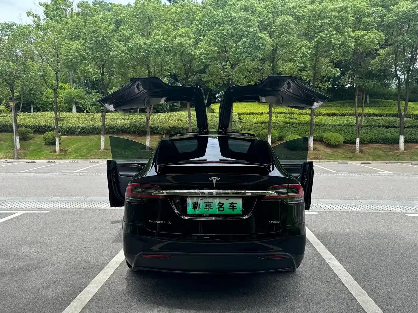 2017 Model X 100D Long Range — миниатюра 9